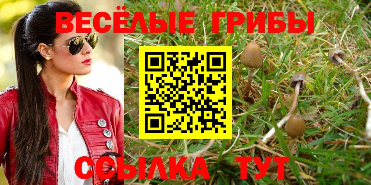 Мефедрон   COCAIN  Вейп ТГК  Меф МЯУ МЯУ  Марихуана  Ртищево  Вход с VPN 