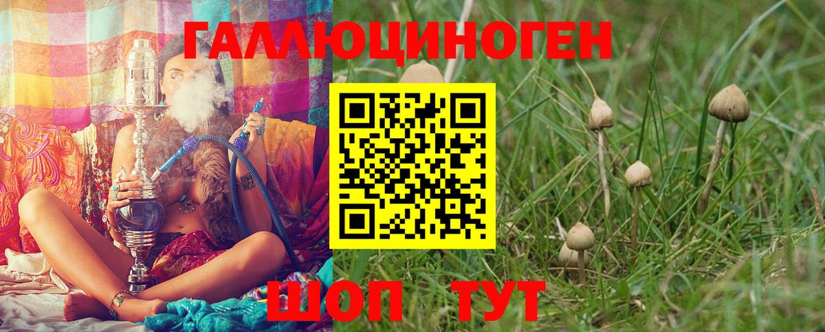 Галлюциногенные грибы ЛСД Ртищево