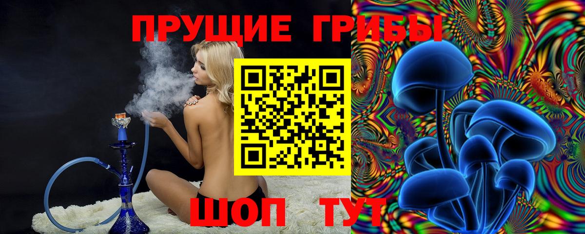 Псилоцибиновые грибы Psilocybine cubensis  Вход с VPN  купить закладку  Ртищево 